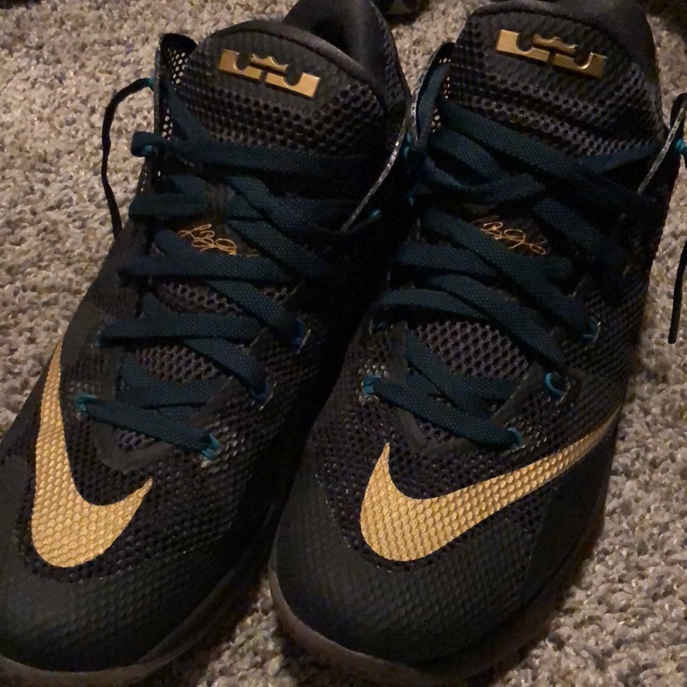 LeBron Sneakers